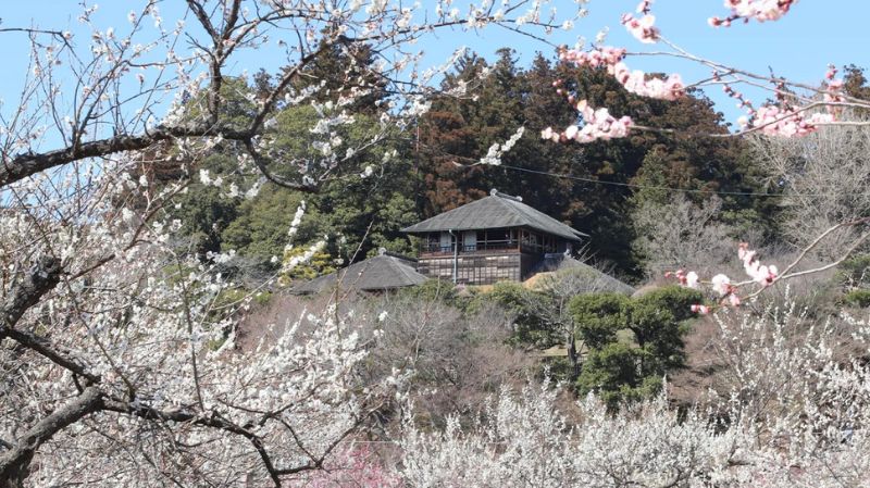 偕楽園